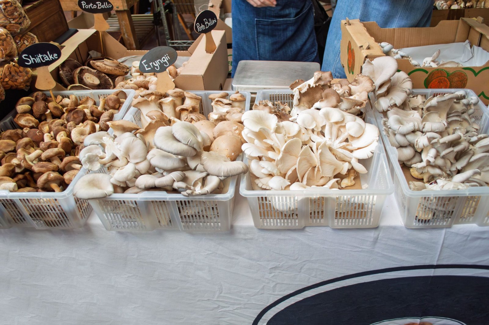 a table with a variety of mushrooms and mushrooms