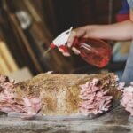 Domina el Cultivo de Setas Orellanas