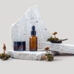 El Reishi como Adaptógeno: Cómo Regula el Estrés a Nivel Molecular