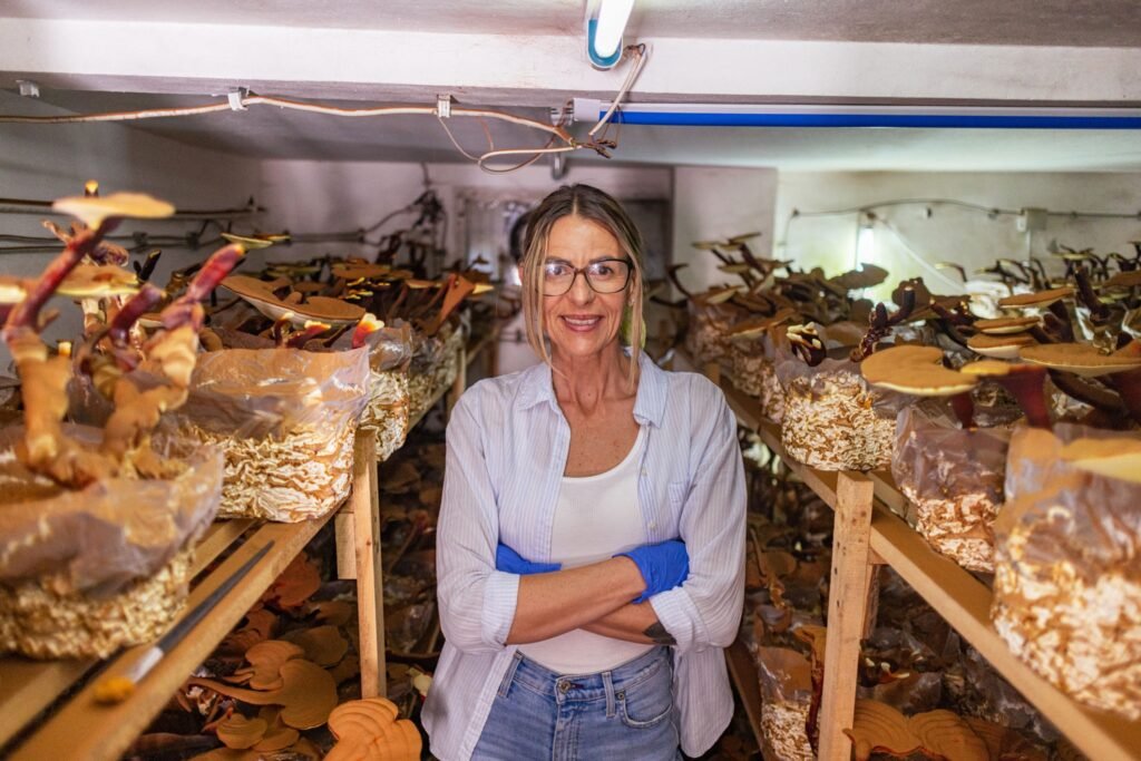 ¿Cuánto Cuesta Realmente Empezar un Cultivo de Hongos Gourmet?