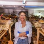 ¿Cuánto Cuesta Realmente Empezar un Cultivo de Hongos Gourmet?