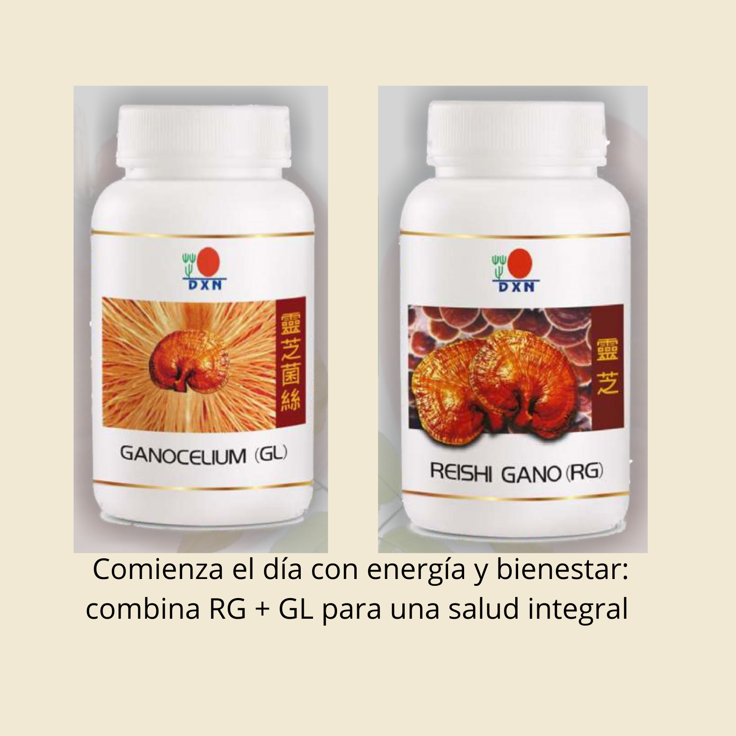 two bottles of red wine and a bottle of wine