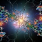 Hongos Adaptógenos y Alucinógenos: Explorando su Relación con el TDAH desde la Perspectiva Científica